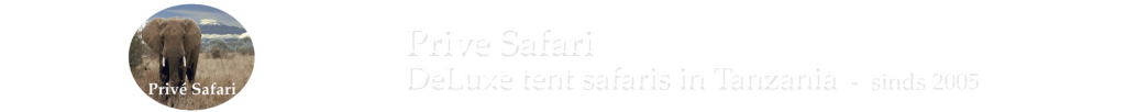 Prive Safari Logo