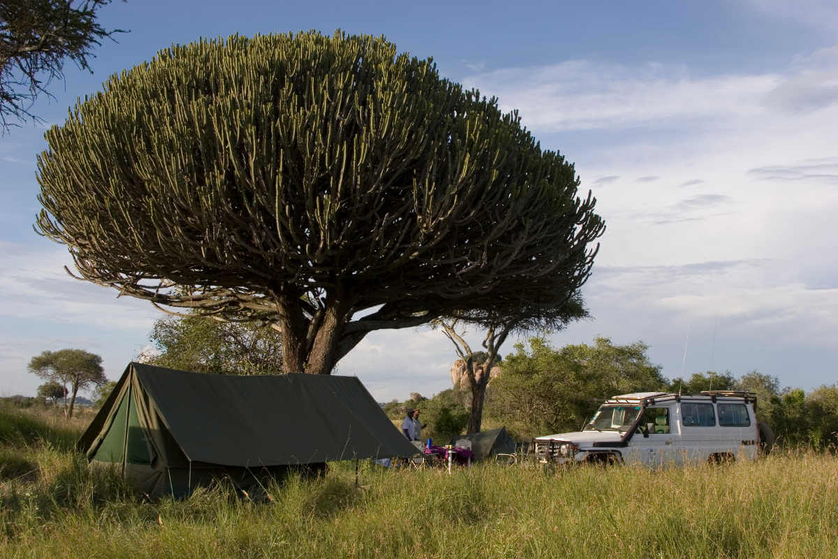 Kamp in de Serengeti, Tanzania