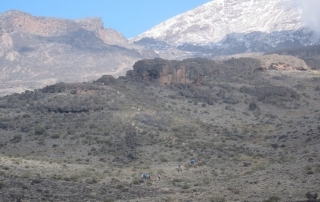Naar de top van Kilimanjaro