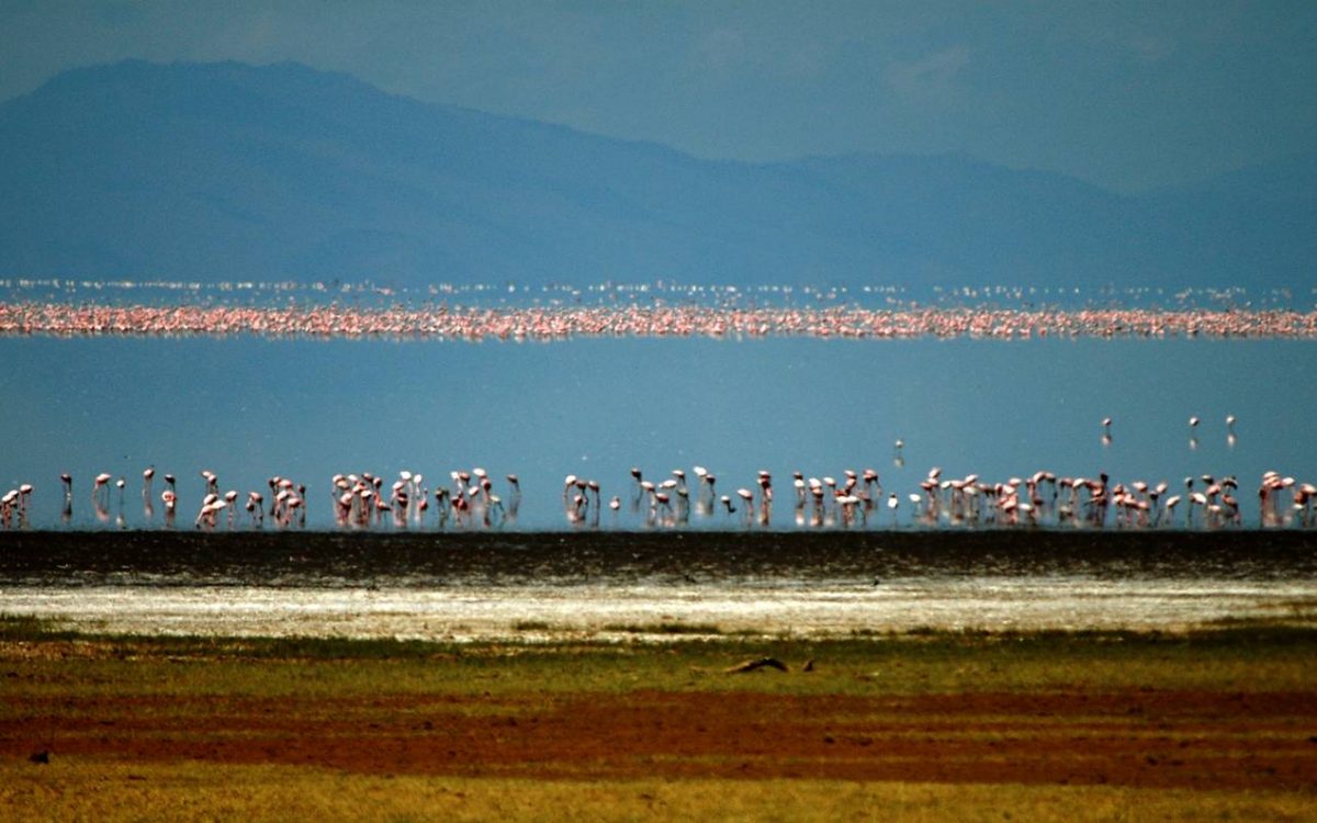 Lake Manyara