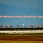 Lake Manyara