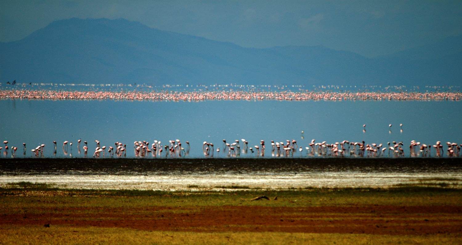 Lake Manyara Lake Manyara