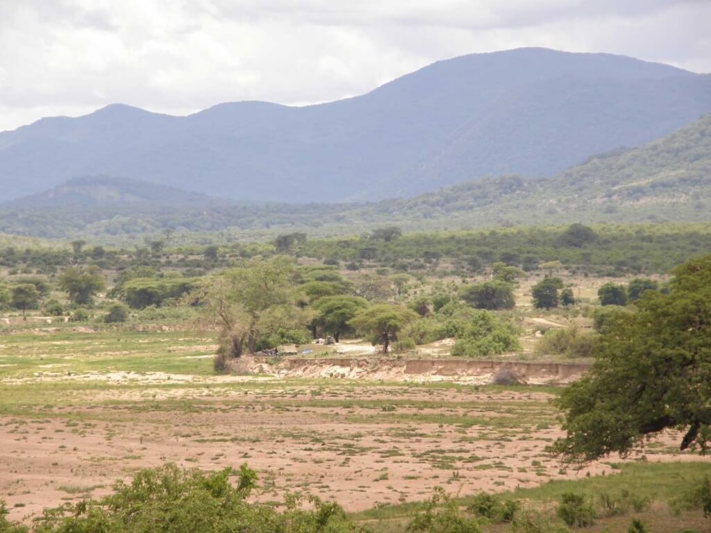 Zuidelijke parken van Tanzania: kamp in Ruaha aan Great Ruaha rivier bedding