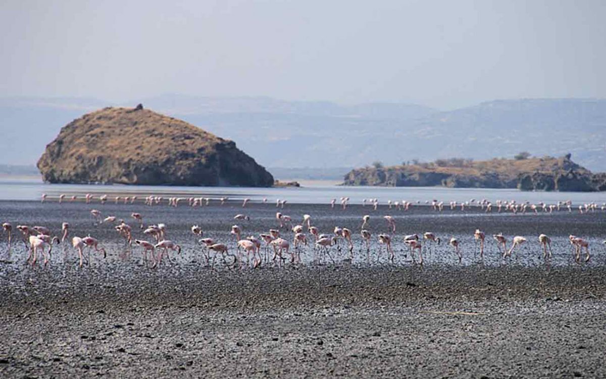 Lake Natron