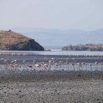 Lake Natron