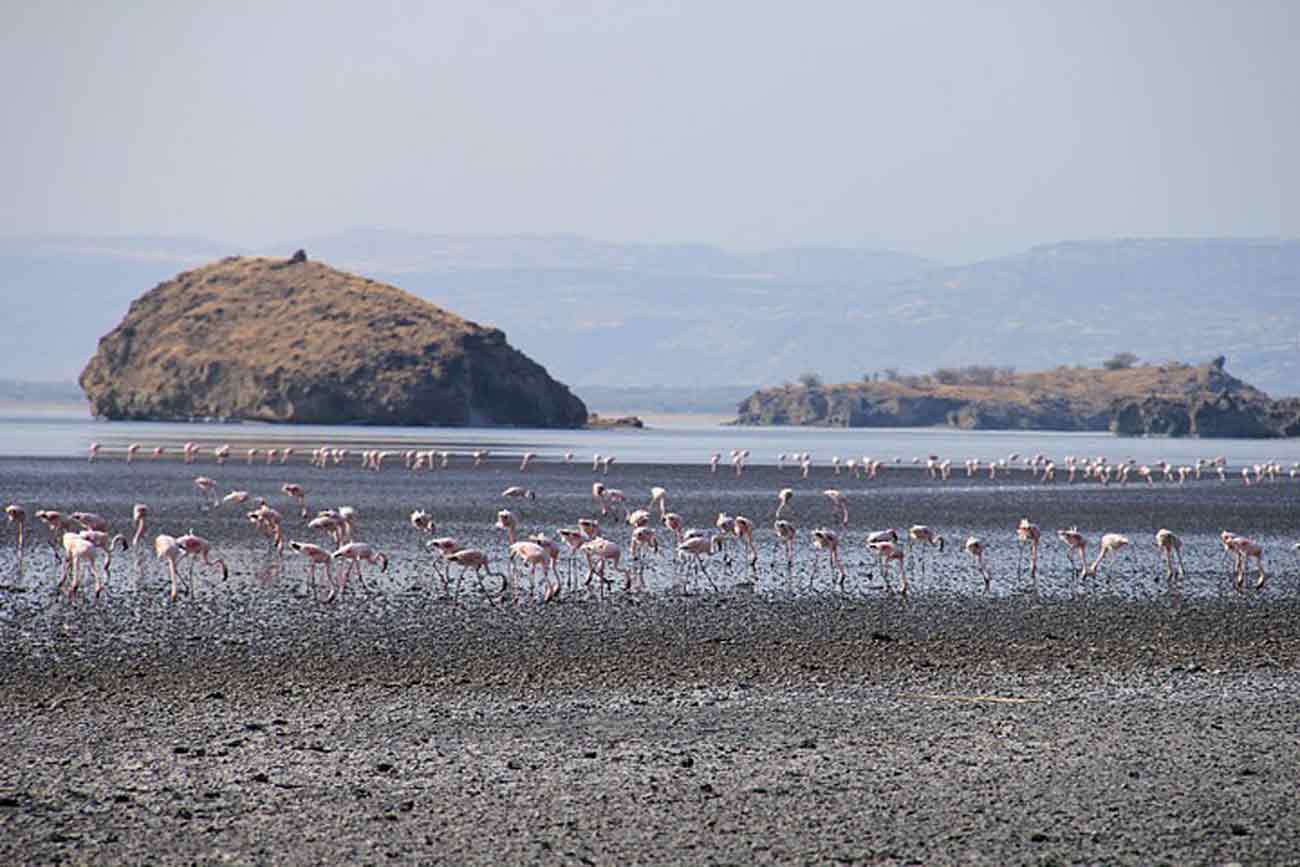 lake natron in tanzania aan de voet van de heilige berg van de maasai.