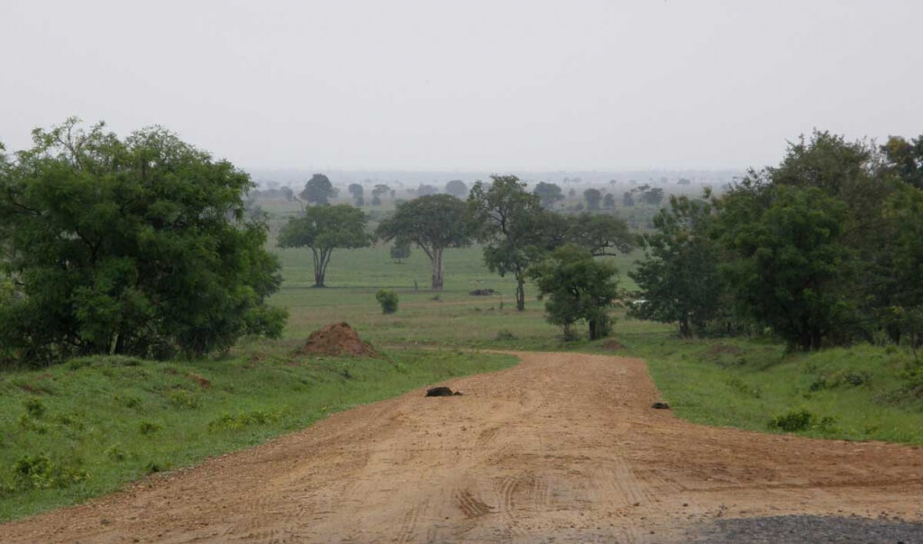 Zuidelijke parken van Tanzania: Mikumi NP, vanaf de TranZam highway.