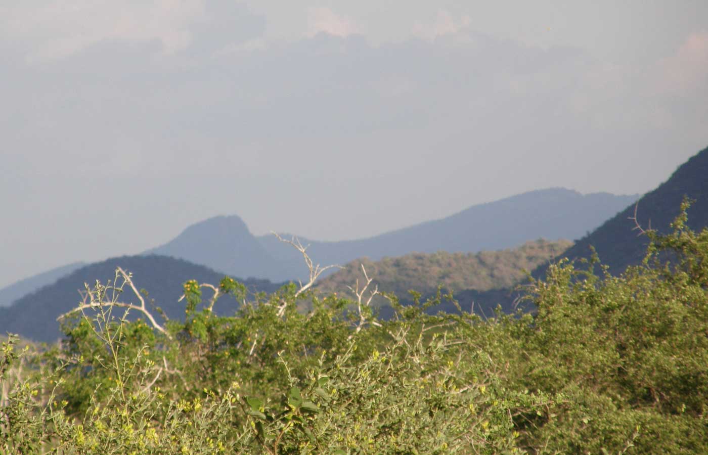 momazi np in tanzania ligt aan de voet van de usambara en pare eastern arc bergketens