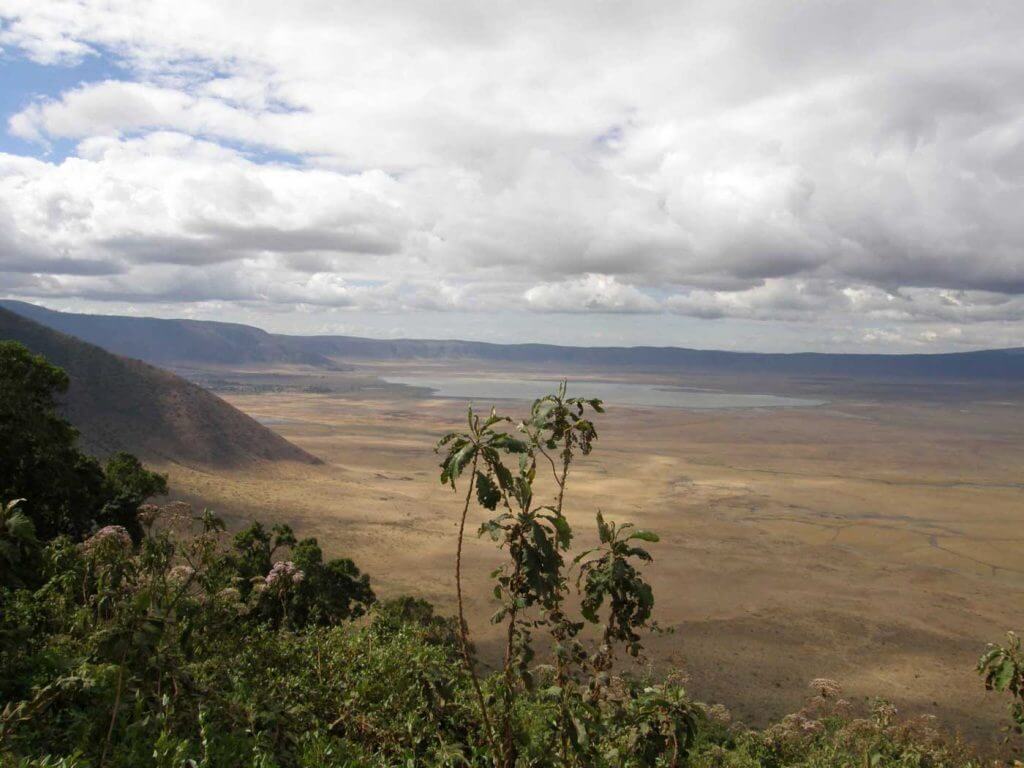 Ngorongoro krater