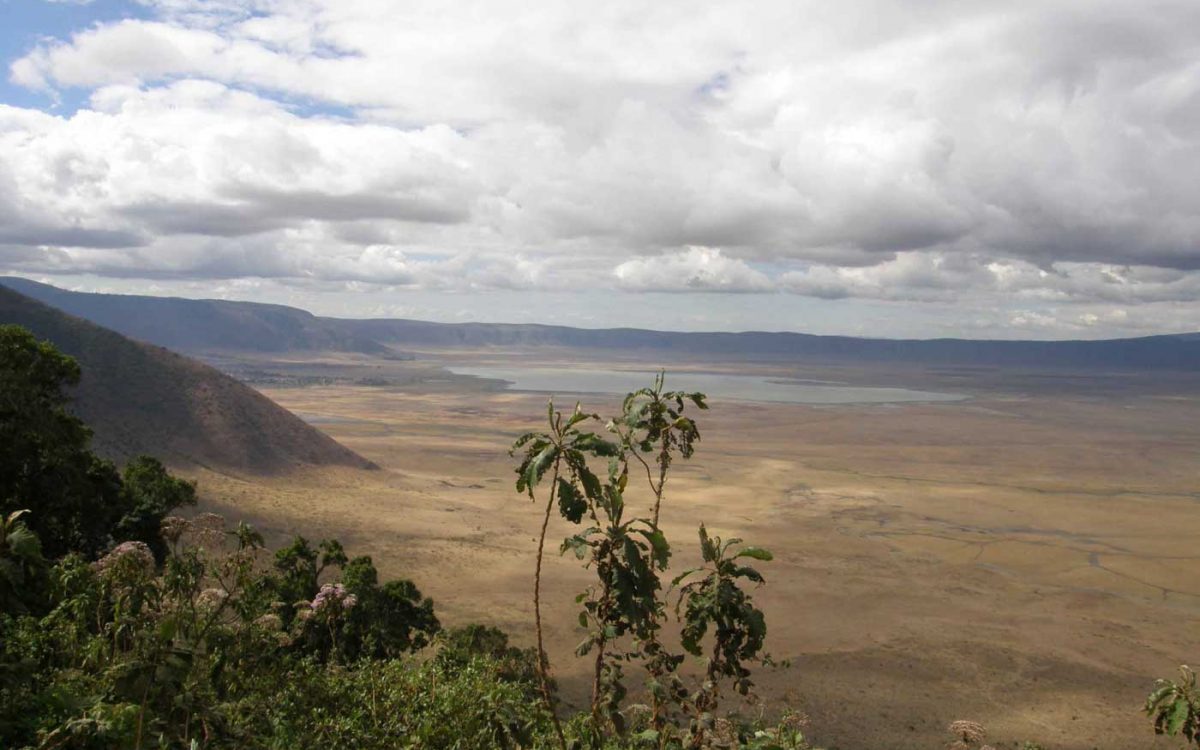 Ngorongoro krater