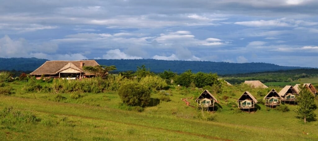 Een tent safari in Tanzania gecombineerd met overnachtingen in lodges.