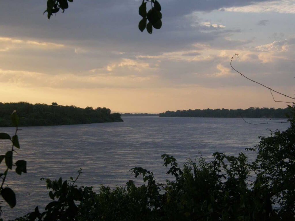 Zuidelijke parken van Tanzania: Rufiji Selous Tanzania