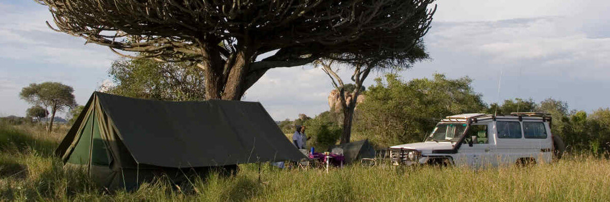 Serengeti Camp