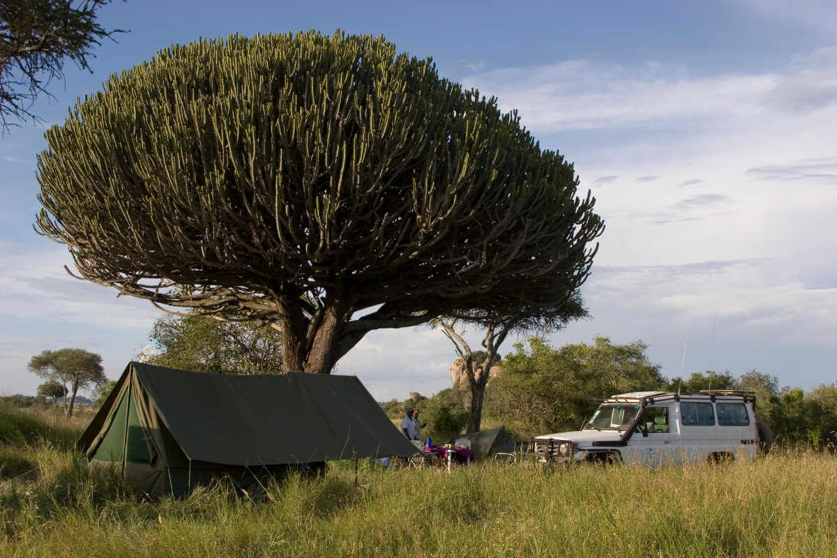 Een tent safari, Serengeti - Tanzania