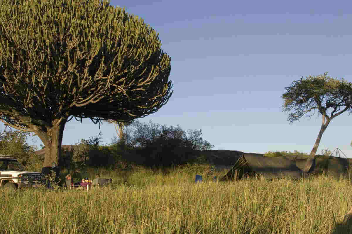 Special campsite tijdens de grote trek in de Serengeti in Tanzania