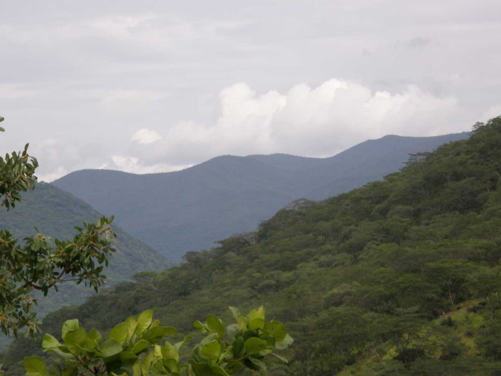 Udzungwa Mountains