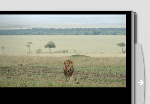 Fotoverslag safari Kenia en Tanzania - Linda de Vries